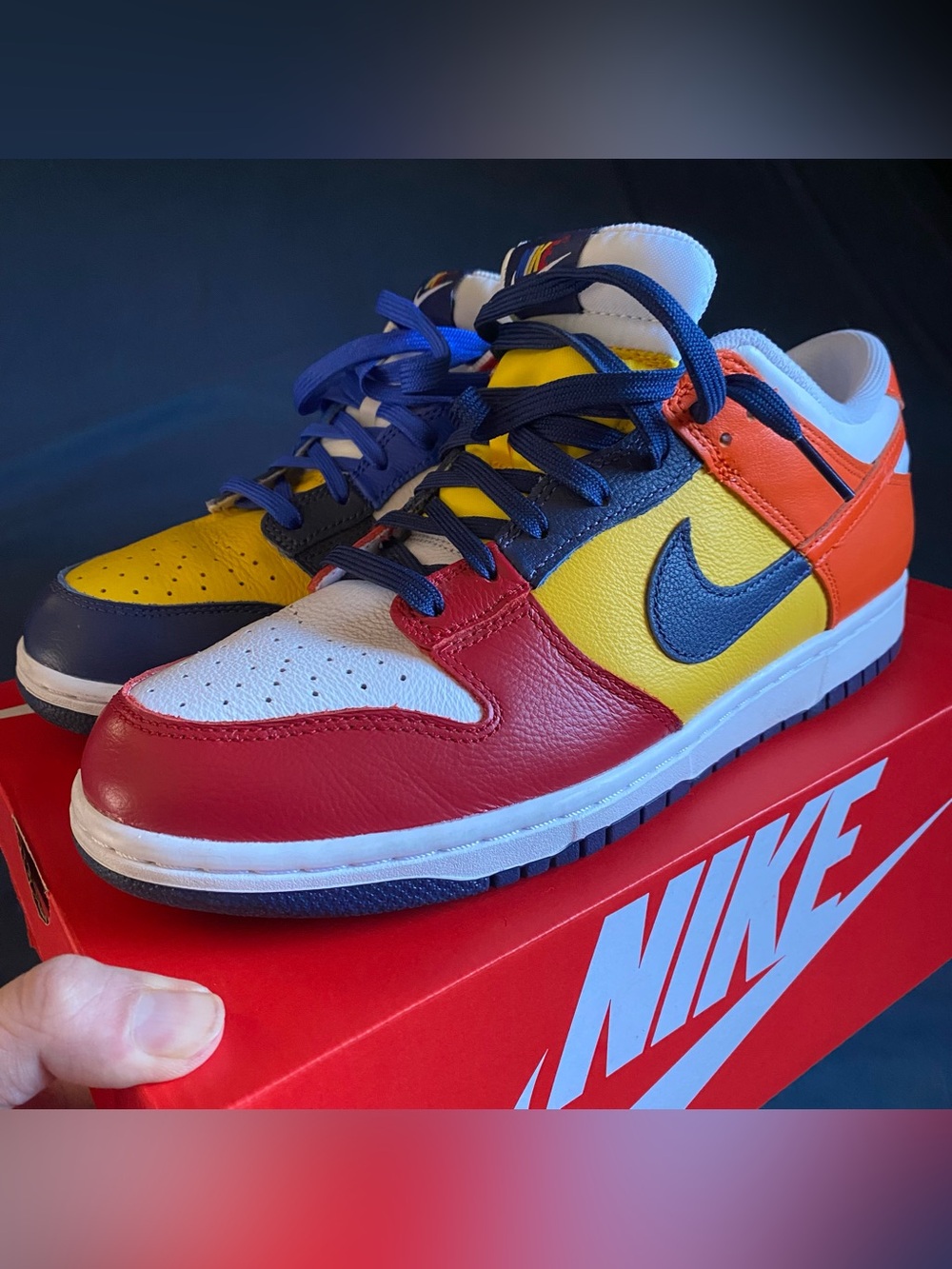 Nike Dunk Multicolor
